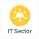 IT Sector